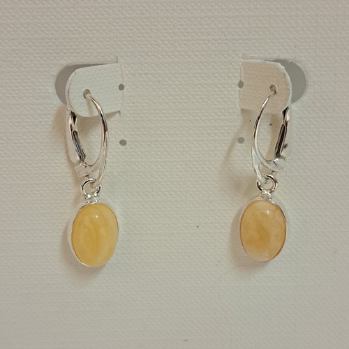 Click to view detail for HWG-2447 Earrings, Lemon Amber $38